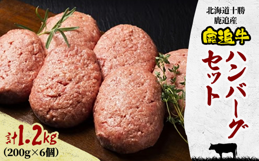 鹿追牛ハンバーグセット 200g×6個 【0117】【配送不可地域：離島】【1455848】