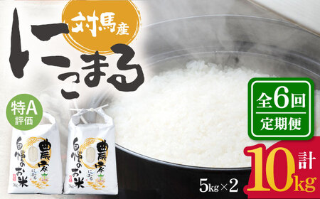 【先行予約】【全6回定期便】特A 対馬産 にこまる 5kg×2「ほたる舞う三根川の米」  米 お米 ご飯 ごはん 白米 10kg 10キロ 産地直送 贈答用 特A 定期便 [WAJ010]