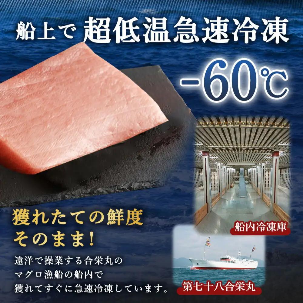 本まぐろ 大トロ 約500g まぐろ【ge013】