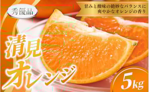 【先行予約】秀優品  清見オレンジ  5kg 【S～３Lサイズ混合】【2026年3月中旬から2026年4月中旬頃に順次発送】/みかん 清見 和歌山 フルーツ 有田 果物 オレンジ 甘い ジューシー【a