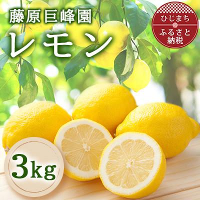 ふるさと納税 日出町 大分県日出町産　レモン3kg