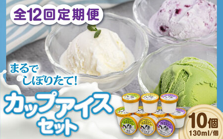 【全12回定期便】ミルク工房 カップ アイス セット 10個  ジェラート 抹茶 ブルーベリー 詰め合わせ 冷凍配送 北海道 [AJAI058]