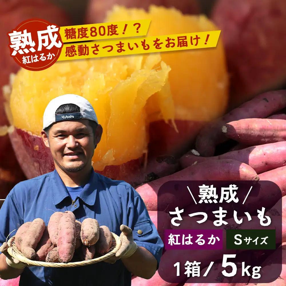 【先行予約：11月下旬配送～】熟成 さつまいも 紅はるか 5kg Sサイズ (おすそ分け袋／美味しい焼き芋の焼き方 説明書付き） FR-212 ｜ 秋の味覚 2026年秋収穫 貯蔵 長期熟成 糖化 さつまいも サツマイモ 感動サツマイモ 焼き芋 べにはるか 小ぶり 野菜 ねっとり 濃厚 おやつ おかず お弁当 煮物 芋ごはん 味噌汁 産地直送 鹿児島県 南大隅町 株式会社フォレスト