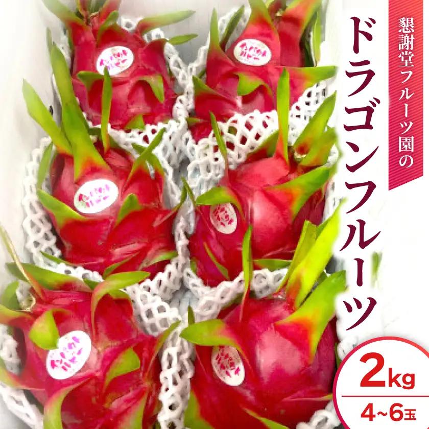 【2026年7月下旬から順次発送】懇謝堂フルーツ園のドラゴンフルーツ2kg(4～6玉)【配送不可地域：離島】【1726883】