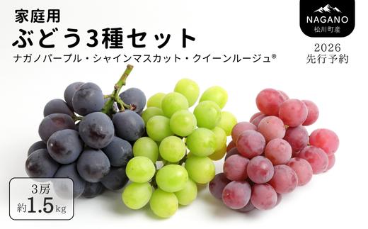
            TK32-26A 【先行予約】ぶどう３種セット【家庭用】（ナガノパープル／シャインマスカット／クイーンルージュ🄬） 約1.5kg／2026年9月初旬～10月初旬頃 配送予定 // ぶどう 葡萄 3種セット 食べ比べ 長野県 信州 詰め合わせ 家庭用 訳あり 種なし
          