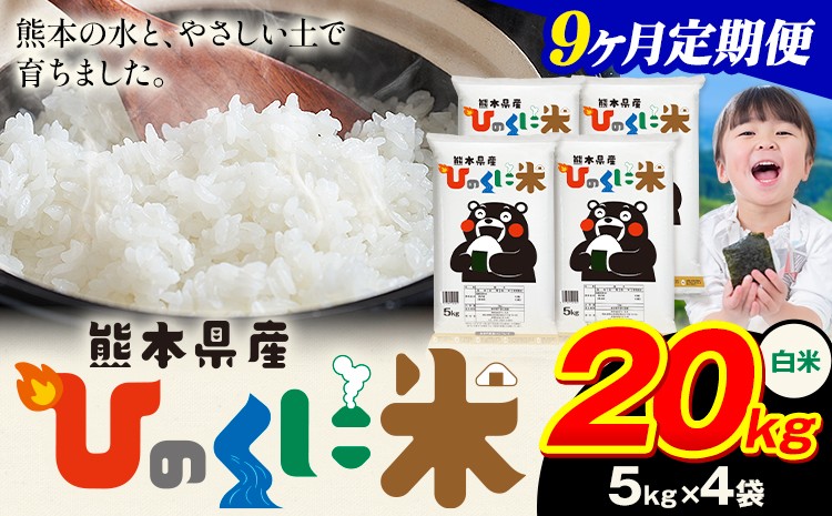 
            【9ヶ月定期便】 白米 ひのくに米 20kg 《申込月の翌月から出荷開始》 食品 米 こめ コメ 熊本県産 ふるさと納税 お米 おこめ 熊本
          