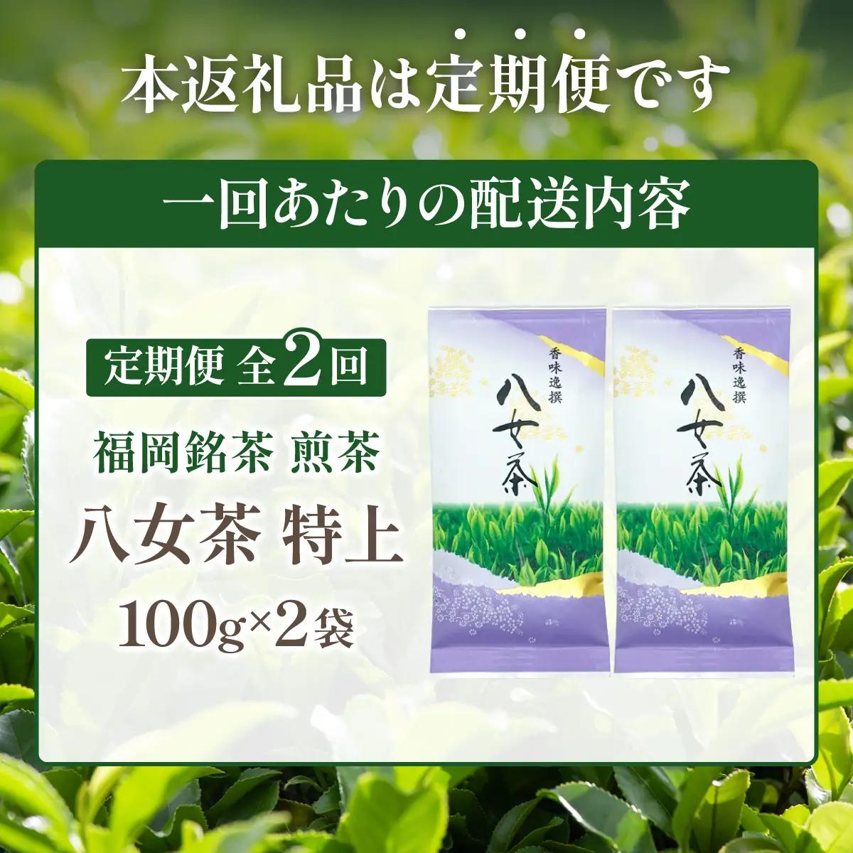  ＜定期便・全2回＞八女茶【特上】煎茶セット 100g×2袋