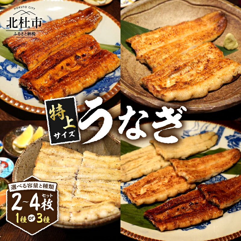 【ふるさと納税】 うなぎ 蒲焼き 白焼き かめ塩 三種食べ比べ セット 選べる枚数 2枚 3枚 4枚 秘伝のタレ 山椒塩 AGED EEL&reg; 熟成の鰻 甘さ コク ふっくら 肉厚 ウナギ 真空冷凍パック 炭火 紀州備長炭 燻香 井筒屋 看板メニュー 山梨県 北杜市 送料無料