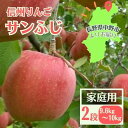 【ふるさと納税】信州りんご サンふじ(2段)計9.6kg～10kg 家庭用【11月中旬より順次発送】【1508408】