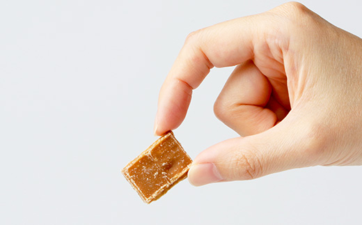 与那国島 塩黒糖（100g）×5袋 A006