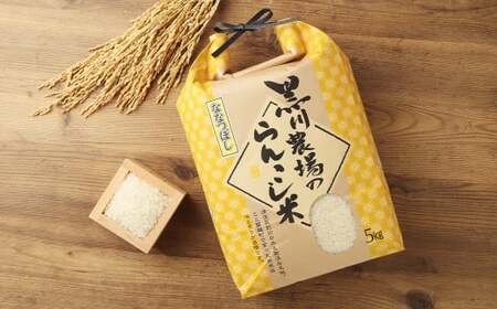 ＜令和7年産＞ らんこし米 (ななつぼし) 5kg (黒川農場)