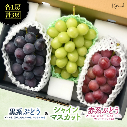 【2026年発送】おまかせ！山梨県産ぶどう　3色　食べ比べ　セット　約1.8kg　［ぶどう　葡萄　シャイン　シャインマスカット　クイーンニーナ　マイハート　スカーレット　巨峰　ブラックビート　くだもの　果物　フルーツ　人気　3種　詰め合わせ　ギフト　贈答　新鮮　山梨県　山梨　甲斐市］