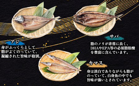 海駅製作所 干物詰め合わせ お任せ3種以上【MT014】干物セット ひもの アジ あじ さば サバ 干し 魚 海鮮 詰め合わせ