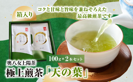 奥八女上陽茶　極上煎茶「天の葉」100ｇ×2本セット箱 178-002