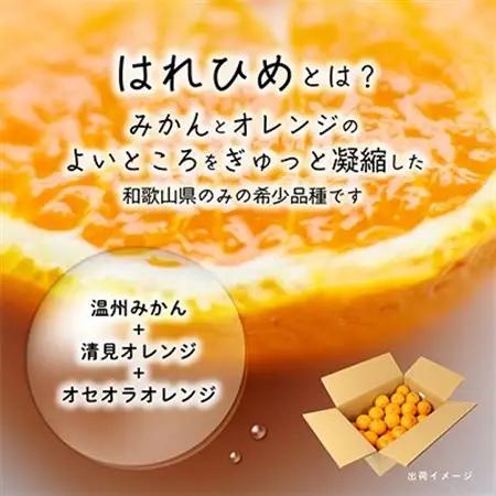 先行受付!　はれひめ(みかんの希少種)　秀品　25個～30個入　約5kg【1485755】