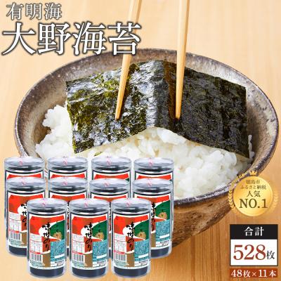 ふるさと納税 徳島市 海苔 乾物 大野海苔 528枚 ( 48枚 × 11本 )【AN002】