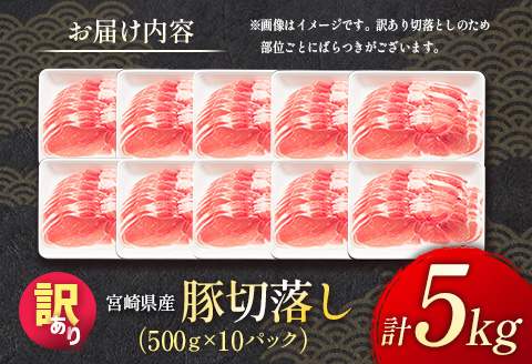 ＜配送月が選べる!!＞「訳あり」宮崎県産 豚切落し 5kg 2026年10月にお届け【C325-2506-202610】 2026年10月にお届け