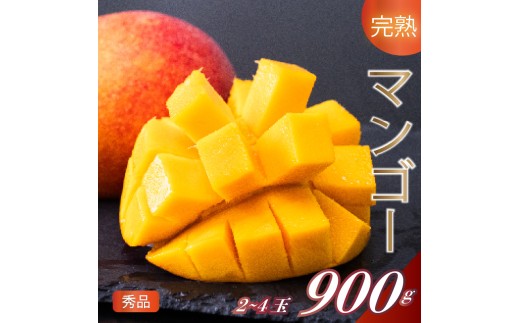 
                  【早期予約】《2026年5月中旬から発送》マンゴー 秀品 2~4玉900g 果物 完熟 フルーツ 完熟マンゴー 期間限定 ギフト 贈答用 ふるさと納税マンゴー 甘味 デザート 甘い 産地直送 高知県 須崎市
                