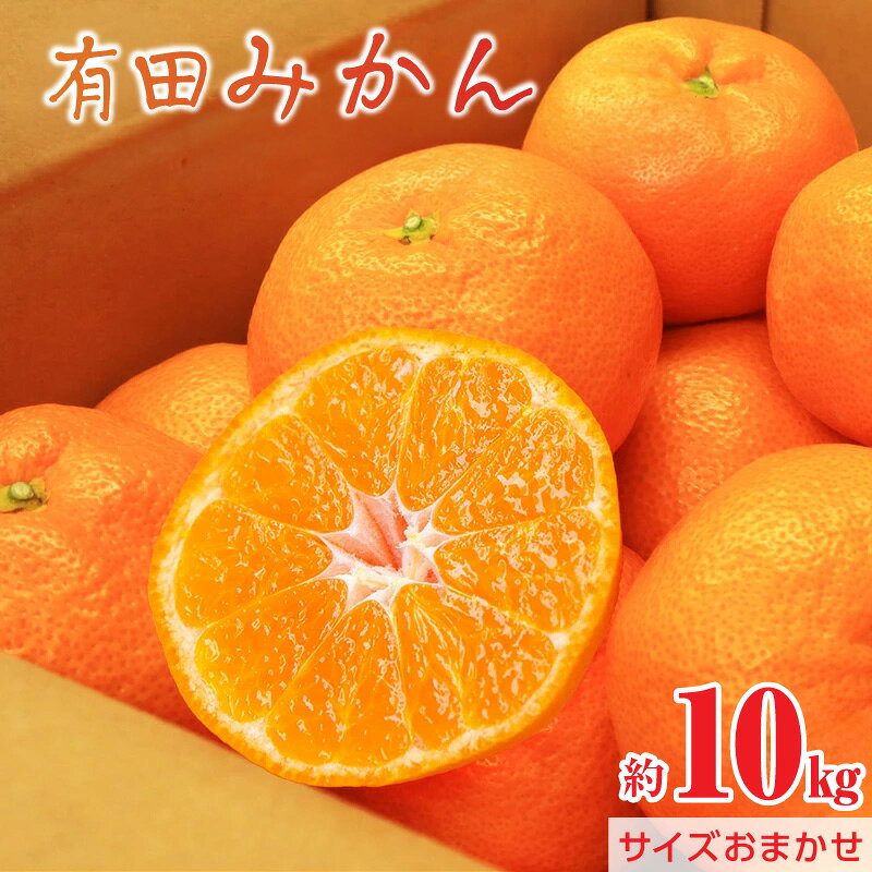【ふるさと納税】【2026年先行予約】 有田みかん 約 10kg サイズおまかせ 甘い みかん 有田 早生 中生 晩生 柑橘 フルーツ 果物 産地直送 柑橘類 果実 デザート お取り寄せ 和歌山県 湯浅町 送料無料
