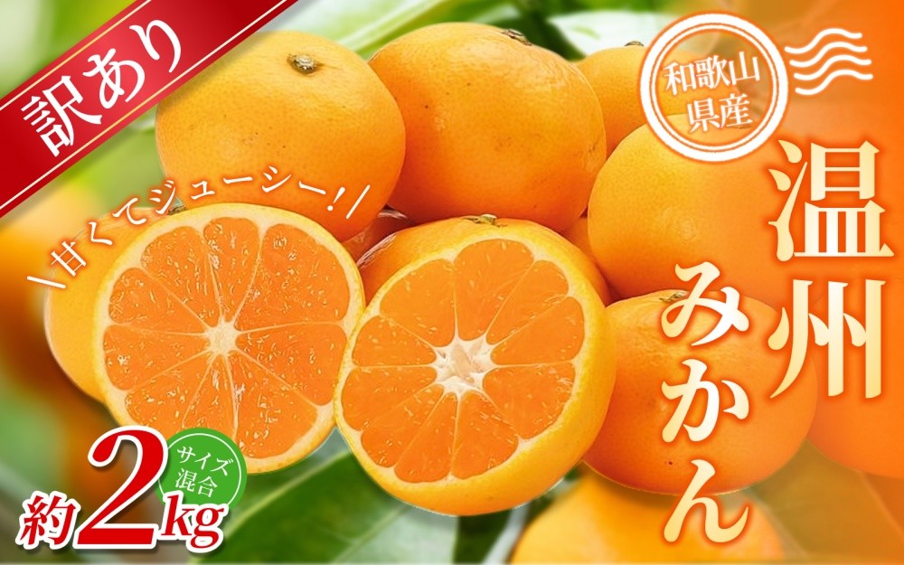 
                  【訳あり・ご家庭用】 森本農園の手選別 みかん 約2kg 和歌山県産 2S~2Lサイズ混合 【北海道・沖縄・離島配送不可】【2026年11月上旬～2027年2月中旬ごろに順次発送】【BV90008-mrmt008】
                