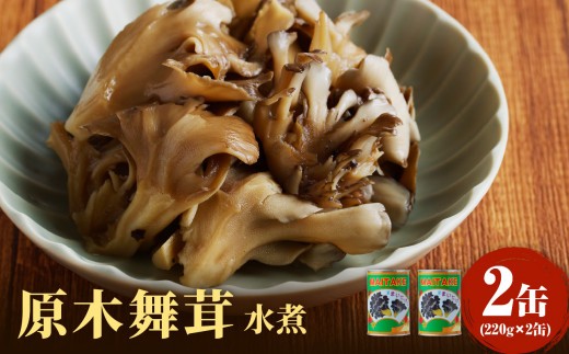 大江町柳川産 原木舞茸水煮220g×2缶（固形量）