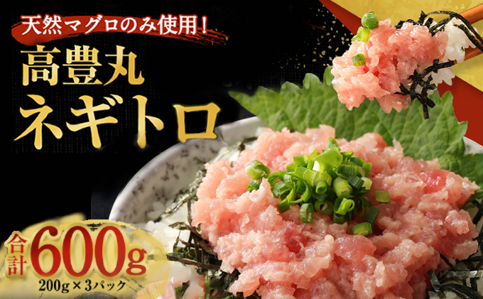 【お試しセット】 土佐流藁焼きかつおのたたき１節と高豊丸ネギトロ６００ｇ   魚介類 海産物 カツオ 鰹 わら焼き 高知 海鮮 冷凍 家庭用 訳あり 不揃い  連続 藁焼き かつおのたたき かつお タ