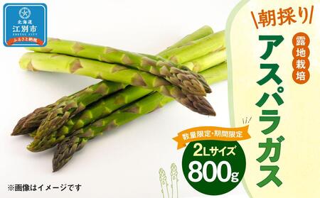 【先行予約/2025年4月下旬より発送開始】BO001＜数量限定・期間限定＞グリーンアスパラガス(2Lサイズ) 800g 朝採り 露地栽培
