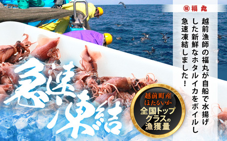 解凍するだけ ! 越前町産 ボイル済 ホタルイカ 満腹 計2kg（500g × 4P） 急速凍結 冷凍 ほたるいか 全国トップクラスの漁獲量【茹で ボイル 日本海 いか イカ 烏賊 福井県 魚介 海鮮