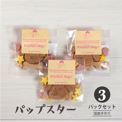 ふるさと納税 大田区 Pup star パップスター　手作りビスケット(ドッグフード)31g×3パック