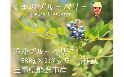 くまのブルーベリー(冷凍) 熊野精工 熊野 果物 フルーツ デザート おやつ スムージー 