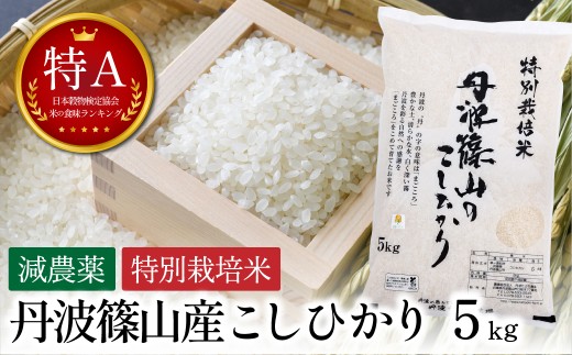 寄付額改定〈スピード出荷〉【特A 減農薬】 特別栽培米こしひかり 5kg お米 精米 コシヒカリ 丹波篠山産 コメ こめ お米　こしひかり