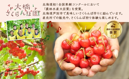 冷凍 さくらんぼ 160g × 3パック 赤ミックス 大橋さくらんぼ園 サクランボ チェリー 果物 果物類 フルーツ デザート 完熟 急速冷凍 新鮮 美味しい 人気 冷凍配送 北海道 芦別市