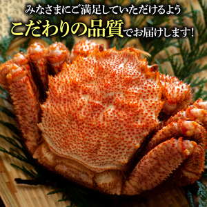 前浜ゆで毛がに 姿(約500～550g×2尾)2～4人前
