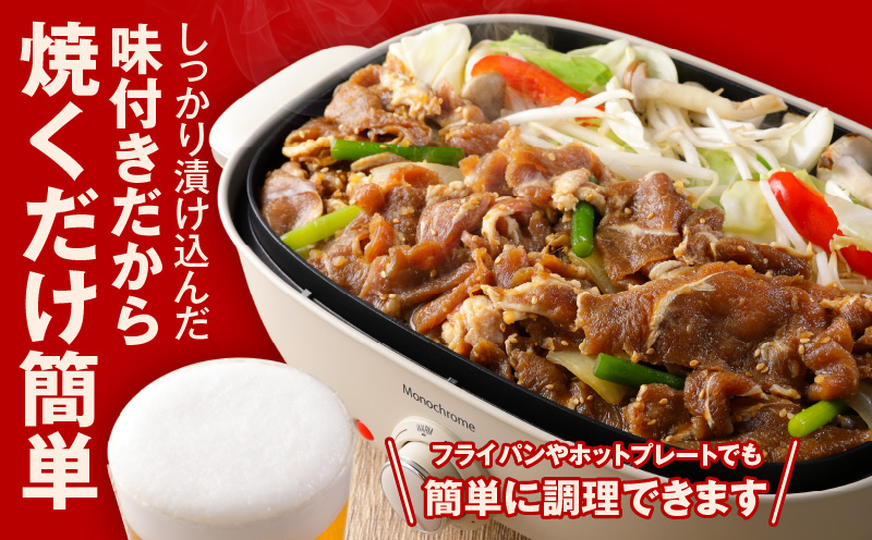 味付け ジンギスカン 1.5kg【6人前 小分け 250g×6P 羊肉 ラム 焼肉 バーベキュー 冷凍 簡単調理 北国からの贈り物】 015B400