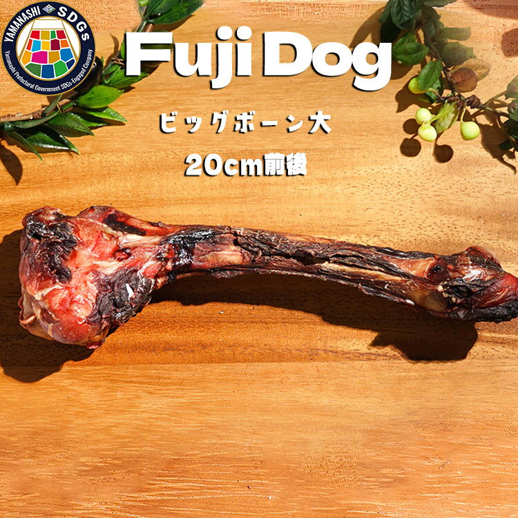 【ふるさと納税】無添加 大型犬用 おやつ 鹿骨ビッグボーン 大 （大腿骨） 鹿骨ジャーキー 鹿 ジャーキー ペット ドッグフード / 山梨県 富士河口湖町 FBK019