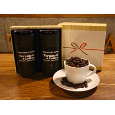 ふるさと納税 奄美市 自家焙煎【てるまに珈琲】　スペシャルブレンドコーヒーギフトセット80g×2【豆】