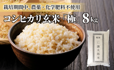【太陽と大地】令和7年産「八重原産コシヒカリ玄米「極」（栽培期間中農薬化学肥料不使用）８kg」