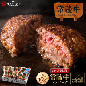 12ヶ月 定期便 肉 常陸牛ハンバーグ100g×10個 計1kg 12回 セット市 肉のイイジマ（DU-160）
