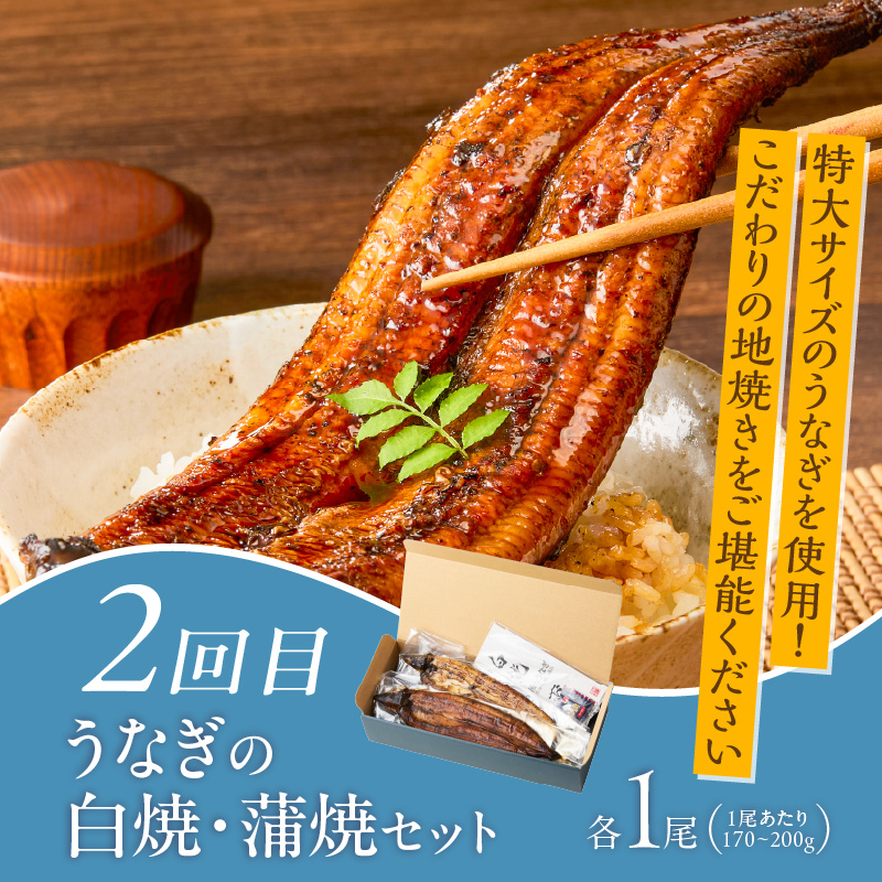 【定期便 5回】厳選！海づくし定期便 _ 定期便 5回 お届け 海づくし 海鮮 焼魚 真鯛味噌焼 金目鯛塩焼 銀ダラ味醂 紅鮭塩焼 漬け丼 銀ダラ西京漬け 銀むつ カマ煮付け 辛子明太子 食べ比べ 本