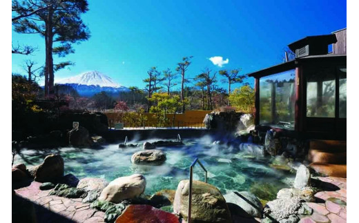 
日帰り温泉「富士眺望の湯ゆらり」　入泉券3枚
