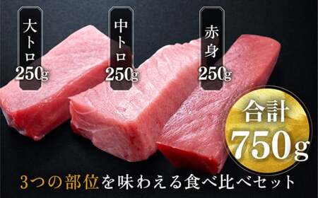 【定期便4回】冷蔵でお届け！人気の生本マグロ堪能セット（柵どり） 計750g × 4回お届け （毎月お届け）