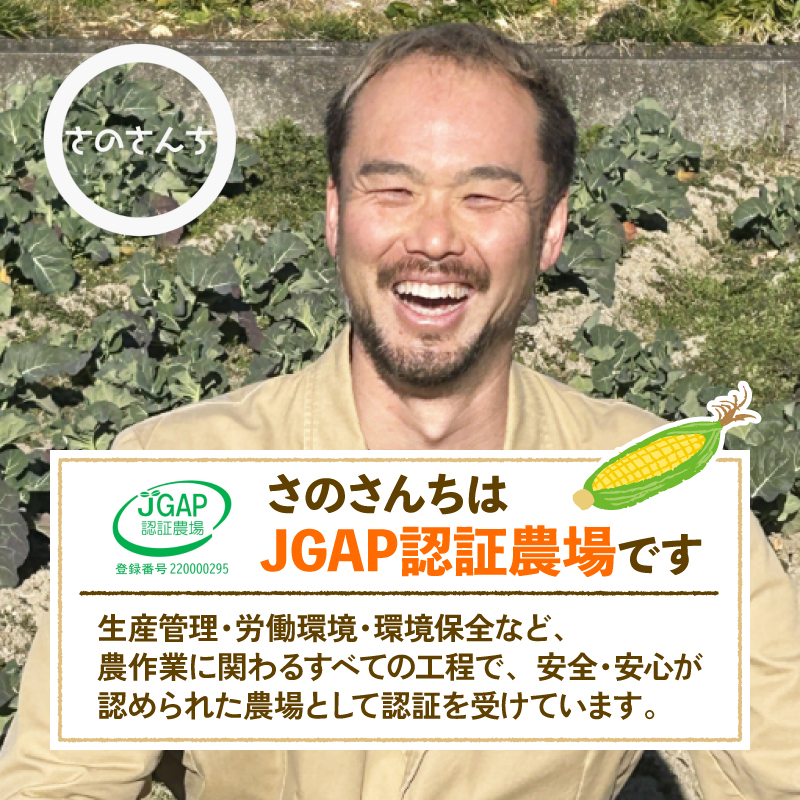 とうもろこし 8本入り ドルチェドリーム トウモロコシ さのさんち 静岡県 藤枝市 人気 野菜 夏野菜 旬 甘い 安心 安全 JGAP認証農場