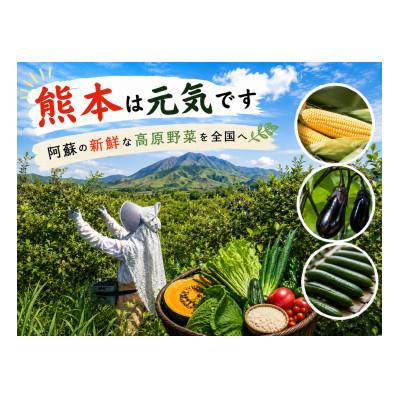 ふるさと納税 阿蘇市 【毎月定期便】【阿蘇 郷乃舎】野菜ソムリエ上級プロ厳選 農家直送こだわり野菜 6〜8品目全3回