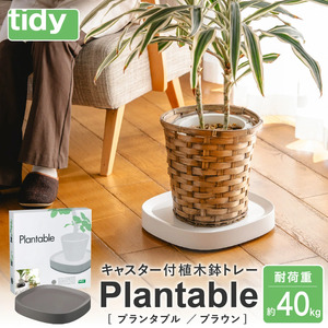 tidy ティディ Plantable（キャスター付植木鉢トレイ）【ブラウン】012EB05N.／台 観葉植物 トレイ プランター 受け皿 受皿 鉢皿 らくらく移動 可動式 軽量 ガーデニング リビング オフィス 玄関 掃除用品 掃除 お掃除 日用品 インテリア 雑貨 おしゃれ