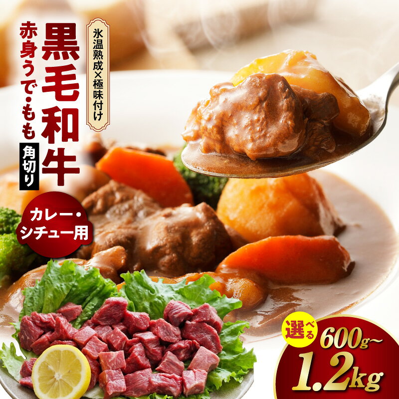 【ふるさと納税】黒毛和牛 赤身 うで もも 角切り カット済み 選べる 内容量 600g / 1.2kg 小分け 発送月 旨み カレー シチュー 煮込み料理 便利 簡単調理 牛肉 肉の泉佐野 氷温熟成 極味付け 大阪府 泉佐野市 送料無料 年内発送