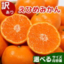 訳あり 家庭用 愛媛みかん 5kg 柑橘 果物 国産 フルーツ 有名 みかん 清家ばんかんビレッジ 蜜柑 ブランド 大きさ 不揃い 傷 大小ミックス 温州 愛媛県 愛南町 果実 ビタミン 美味しい 発送期間：11月上旬~1月下旬