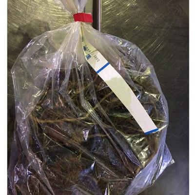 ふるさと納税 えびの市 すかしユリ球根 黄花 16球 |  | 01