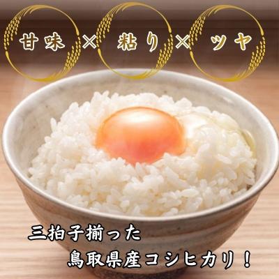 ふるさと納税 八頭町 鳥取県産「コシヒカリ」精白米15kg(令和7年産) |  | 01