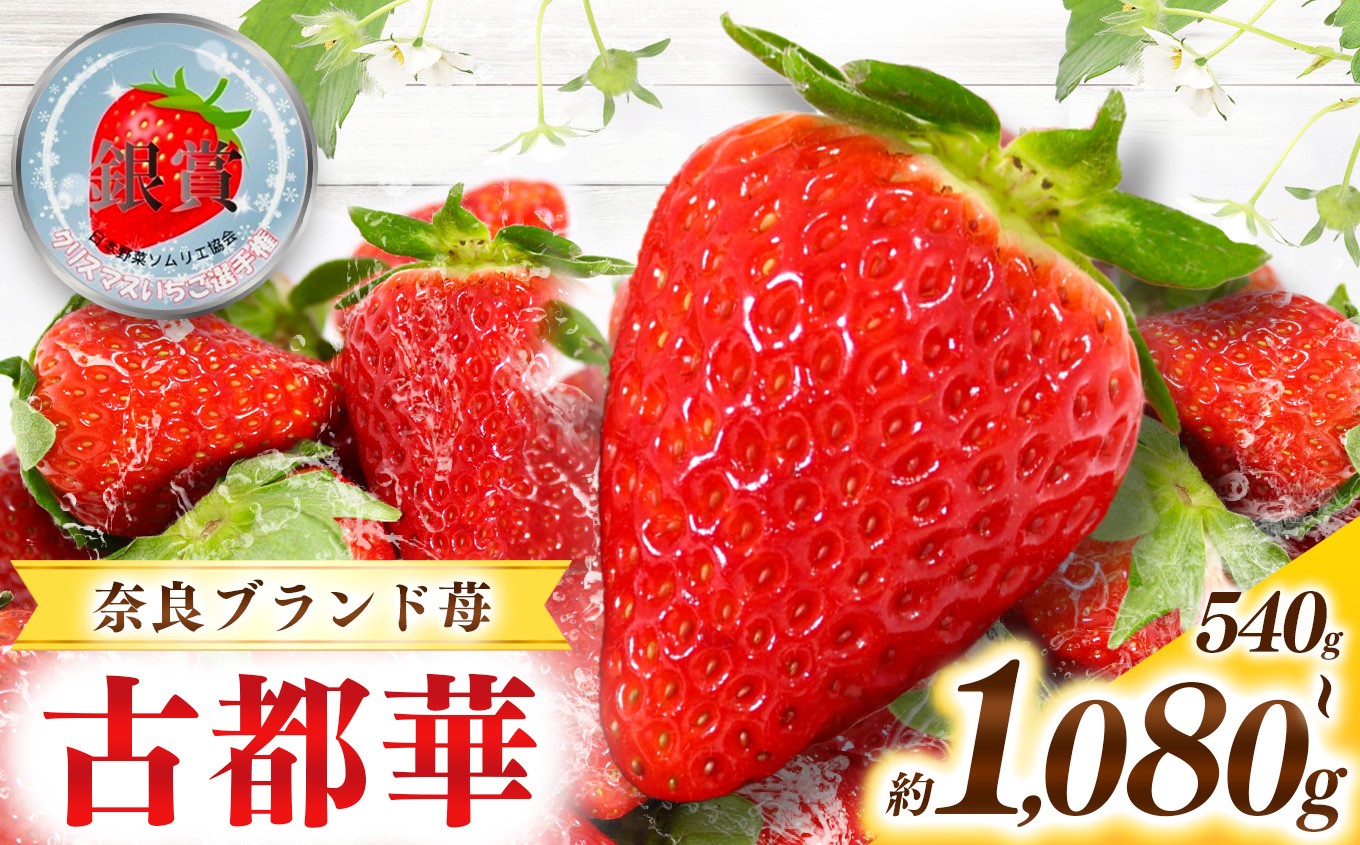 
                  甘くて高級 奈良県産ブランド「 古都華 （ ことか ）」| フルーツ くだもの 果物 いちご イチゴ ことか コトカ 古都華  高糖度 旬 2月 3月 4月 5月 順次発送 LIP～幸せいちご園～ 産地直送 農家直送 お取り寄せ 送料無料 グルメ フレッシュ 果実 新鮮 ブランド苺 ストロベリー 冷蔵 糖度 減農薬栽培  濃厚 贅沢 奈良県 五條市
                