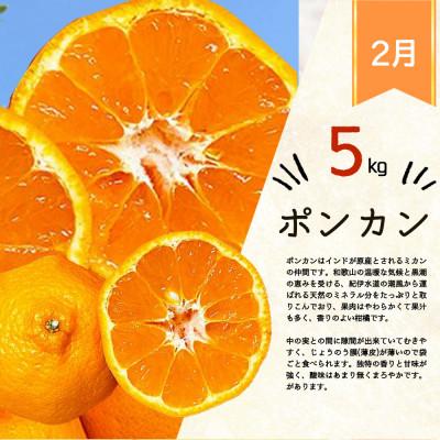 ふるさと納税 由良町 【発送月固定定期便】紀州和歌山産旬の柑橘セット(みかん・ポンカン・清見・なつみ)全4回 |  | 02